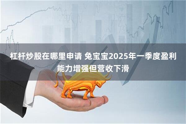 杠杆炒股在哪里申请 兔宝宝2025年一季度盈利能力增强但营收下滑